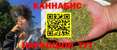 мдпв Гагарин