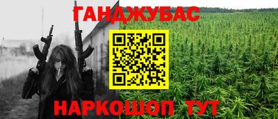 мдпв Гагарин