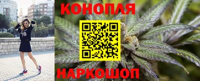 амф Гусев