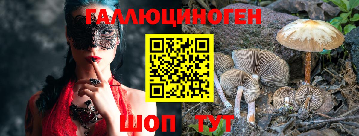 Псилоцибиновые грибы ЛСД  Нижнеудинск 