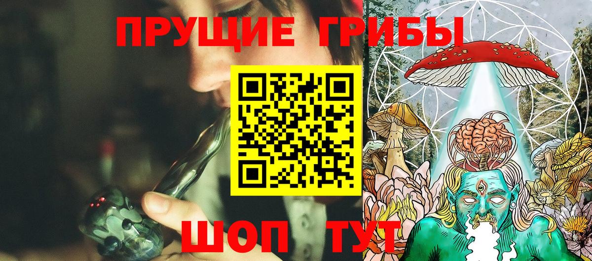 Галлюциногенные грибы Psilocybe  Вход с VPN  Нижнеудинск 